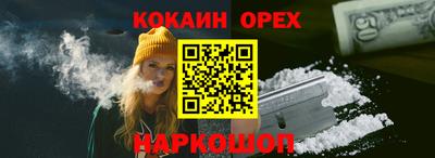 гашик Пыть-Ях