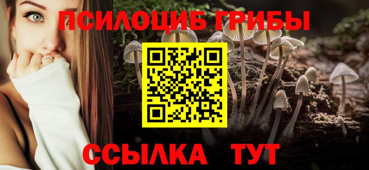 Шебекино  Псилоцибиновые грибы GOLDEN TEACHER  Вход с VPN  Галлюциногенные грибы MAGIC MUSHROOMS 