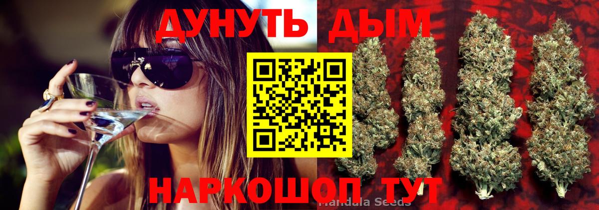 Конопля план Шебекино